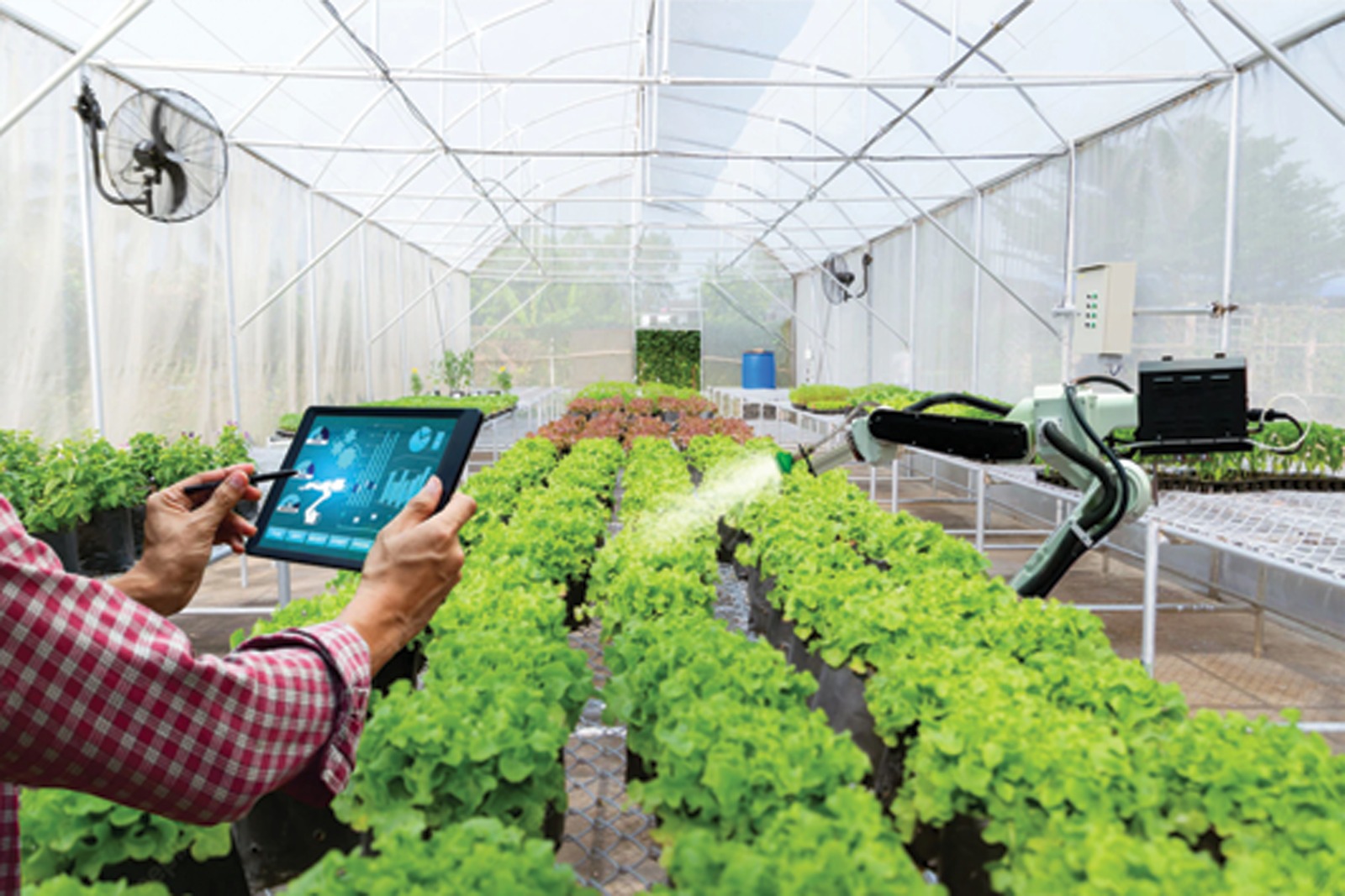Agriculture et industrie agroalimentaire